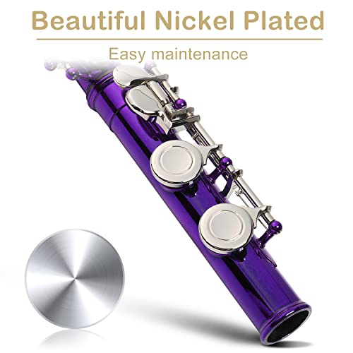 image for Ktaxon C Closed Hole Flute 16 Keys Flutes Kit for Students, Profession