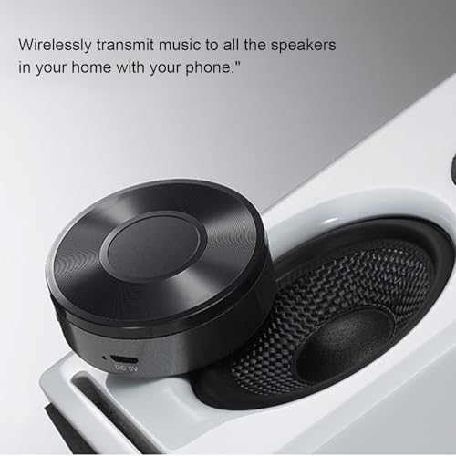 Music Streamer HiFi Music Receiver with DLNA, Multi Room Supported for Spotify, IHeartRadio