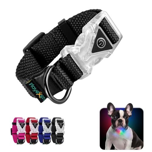 Collare Luminoso per Cani Collare Cane Regolabili in Morbido Cotone per Cani & Gatto Taglia Piccola Media Grande Collare di Cane LED 2 Modos de Flash Collari per Cane 20-30/2,0cm (XS), Nero