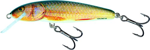 Salmo Minow 5F Real Roach