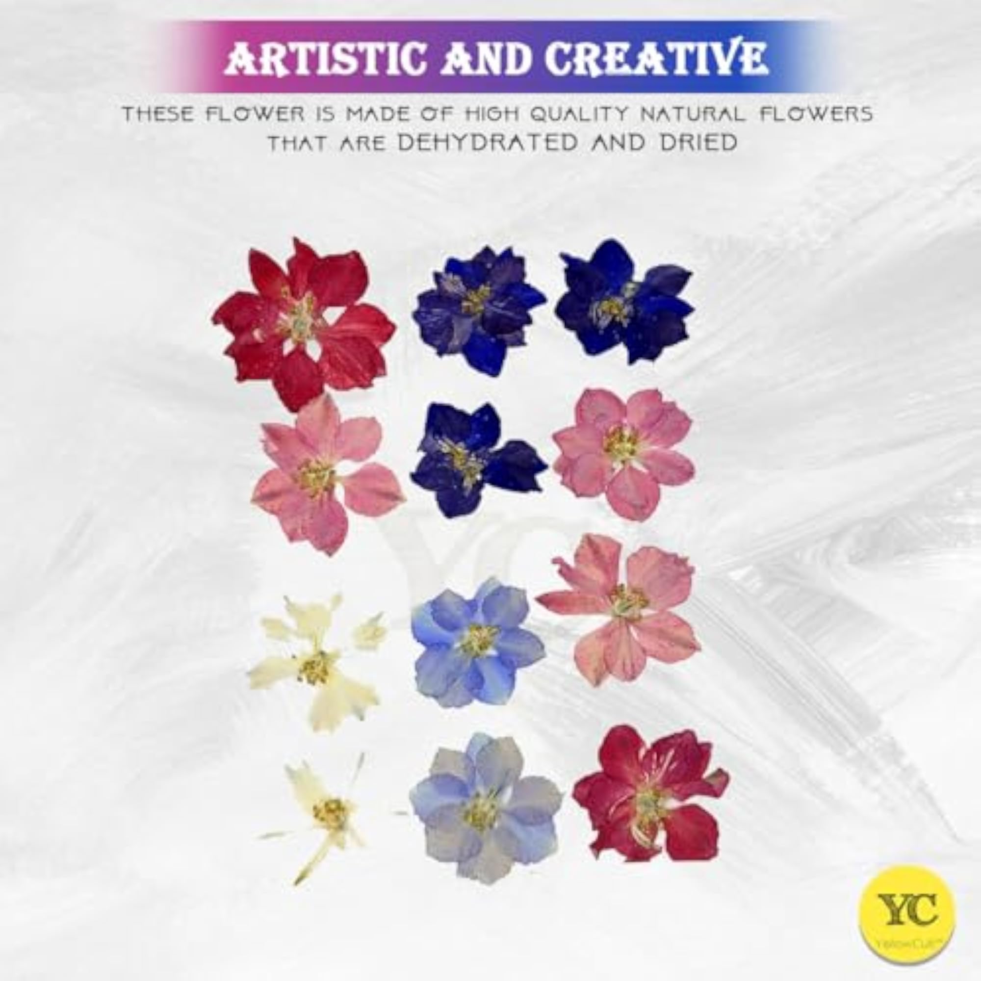 Natural Real Dried & Pressed Flowers for Art Craft, Mixed Colors
