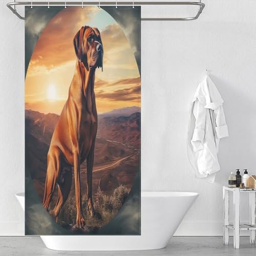 Rideau de douche imperméable en tissu polyester anti-moisissure avec 12 crochets
