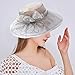 Ymbekr Womens Organza Church Fascinator Hats for Bridal Tea Party Accessories Summer Wedding Fashionable Fedora Derby Cap (Black, One Size)