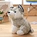 HOMEXYLYL Peluche de Husky Imagen de HOMEXYLYL Peluche de Husky