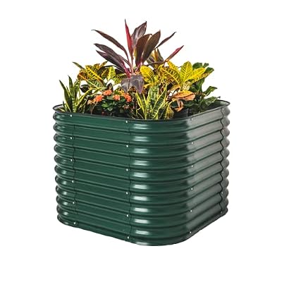 Vego garden Raised Garden Bed Kits
