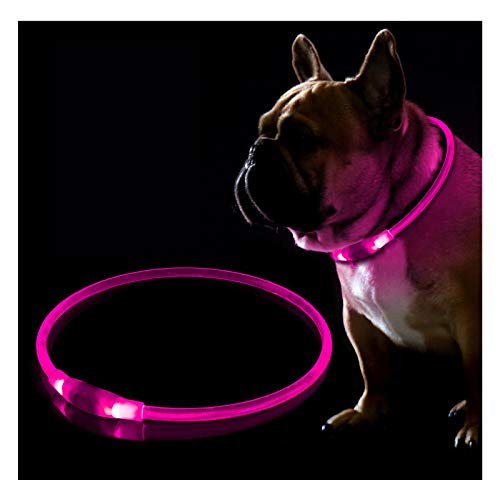 LED Dog Collar, USB Rechargeable Flashing Light Up Collar for Safety at Night, Adjustable Water Resistant Bright Lighted Collar for Small Medium Large Dogs (Pink)