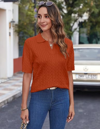 Zeagoo Women Short Sleeve Sweater Pullover Polo Tops V Neck Knit Casual Soft Pullover Shirt4