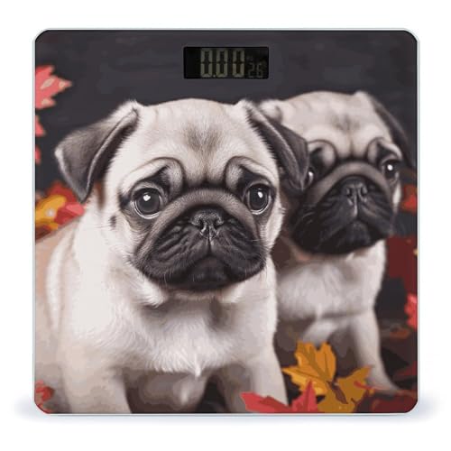 Báscula Digital de Baño Puppys Pug de Precisión