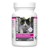 Algopix Similar Product 16 - Nutramax Cosequin for Cats Joint Health