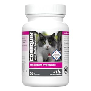 Nutramax Laboratories Cosequin Joint Health Supplement for Cats – With Glucosamine and Chondroitin, 55 Capsules