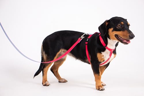 Freefaro - Peitoral H Imaginario - P