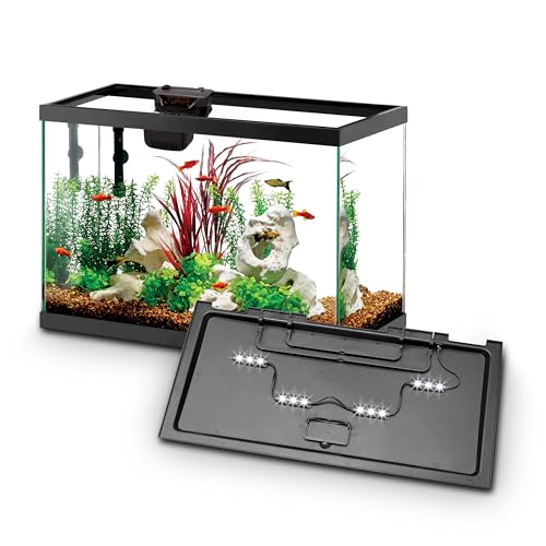 Aqueon Aquarium Starter Kit with Smart Clean Filtration and LED Lighting, Freshwater and Saltwater Fish, Perfect for Gouramis, Barbs, Bettas, 20-Gallon