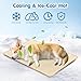 PETCUTE Cooling Mat for Large Dogs,Machine Washable Cooling Pet Pad for Puppy,Portable Pet Self Cool Ice Blanket,Durable Summer Dog Crate Pad for Indoor & Outdoor Use,Beige,XL