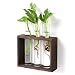 Mkono Wall Hanging Glass Planter Propagation Station Modern Flower Bud Vase in Vintage Wood Stand Rack with 3 Test Tube Tabletop Terrarium for Propagating Hydroponics Plants, Home Office Decoration