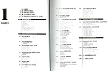 Paperback New F.A.Q 2 Frequently Asked Questions on AFV Painting Techniques Book