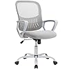 Smug Office Chair Ergonomic Desk Lu...