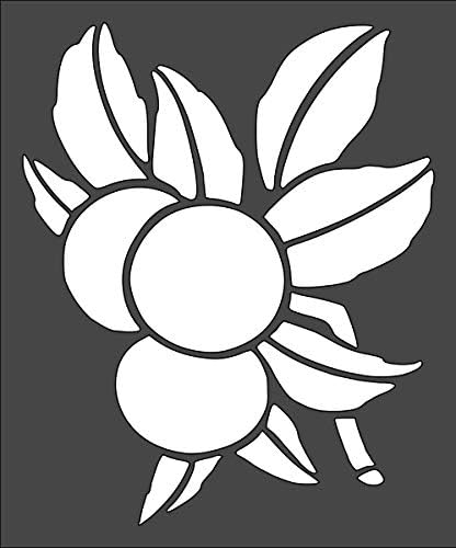 Miniatura 1 de Plantilla de logotipo de naranjas, reutilizable, resistente, flexible, de plástico transparente, de 1-5 x 6 pulgadas, material para álbumes de