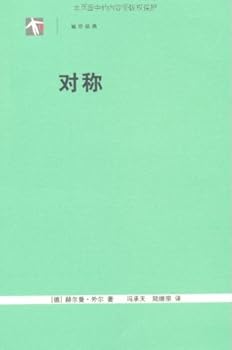 Paperback Symmetry (Chinese Edition) [Chinese] Book