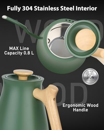 Electric Kettle with Temperature Control