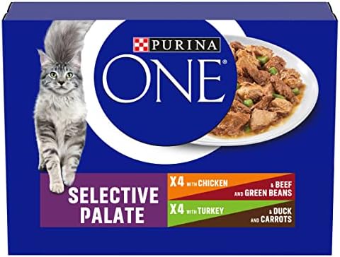 Purina ONE Coat and Hairball Dry Cat Food Chicken 3kg
