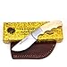 Wild Turkey Handmade Collection Full Tang Bone Handle Fixed Blade Skinner Knife w/Leather Sheath