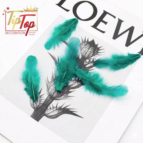 Image of TIPTOP DECORATION Natural Dyed Feathers 10 cm (80 Pieces) (Sea Green)