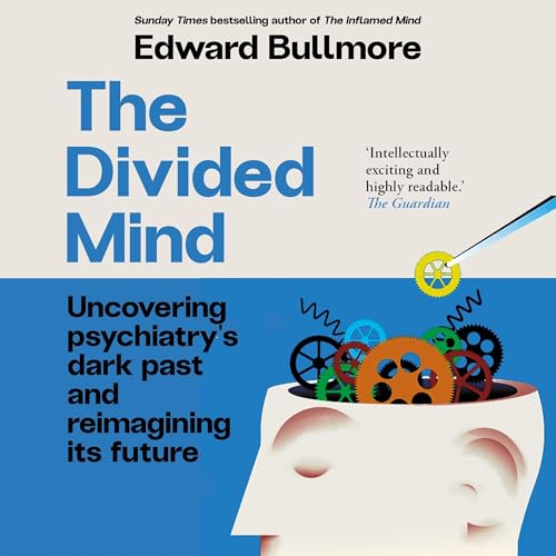 The Divided Mind copertina