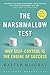 The Marshmallow Test: Why Self-Control Is the Engine of Success