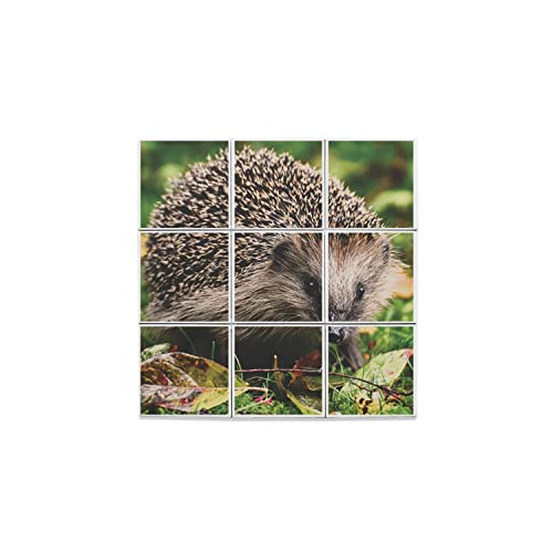 Carreaux céramique hérisson lot de 9 de 10,8x10,8 cm décor faïence nature sauvage