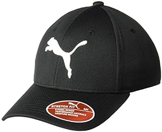 PUMA Men's Evercat Mesh Stretch Fit Cap, Black, L/XL
