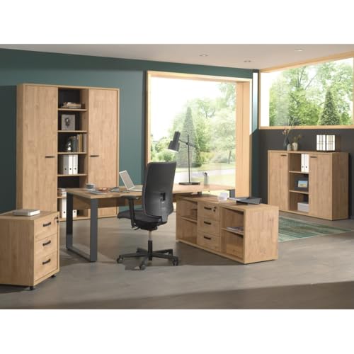 Credenza Bassa Per Ufficio Con 2 Porte E Scaffali Colore Rovere Dorato Collezione DepÉ - 2