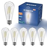 Jensense LED Edison Light Bulbs 8 Watt Dimmable 5000K Daylight White, E26 60 Watt Equivalent, Vintage Bulbs 800lm CRI 90 Clear Glass 6 Pack
