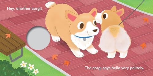 Baby Corgi Butt: Little Finger Puppet Book – vue 5