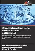 Caratterizzazione delle risorse idriche sotterranee (Italian Edition) 6207481186 Book Cover