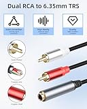 RIIEYOCA 6.35mm to 2 RCA Splitter Audio Cable,1/4 inch TRS Stereo Jack Female to Dual RCA Male Plug Cable for Sound Mixers, Amplifier, AV Receiver (1.8m/5.9ft) - Image 2
