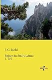 Reisen in Suedrussland: 1. Teil (German Edition)