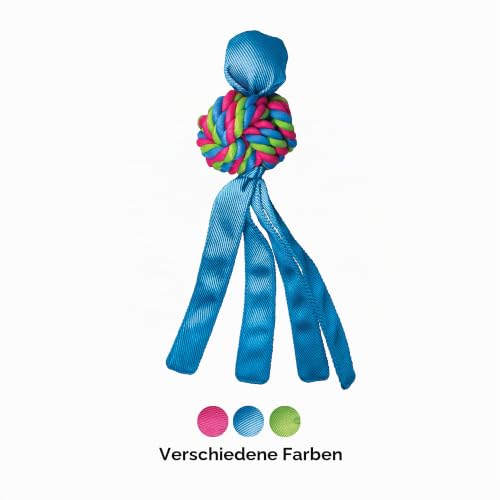 KONG – Wubba Weaves – Robustes Apportierspielzeug zum Kauen und zur Zahnreinigung (Farbvar.) – Für Große Hunde