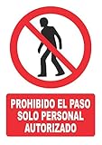 CARTEL Prohibido el Paso Solo Personal Autorizado. Homologado, Fabricado según Normativa, con Pictograma y Texto.