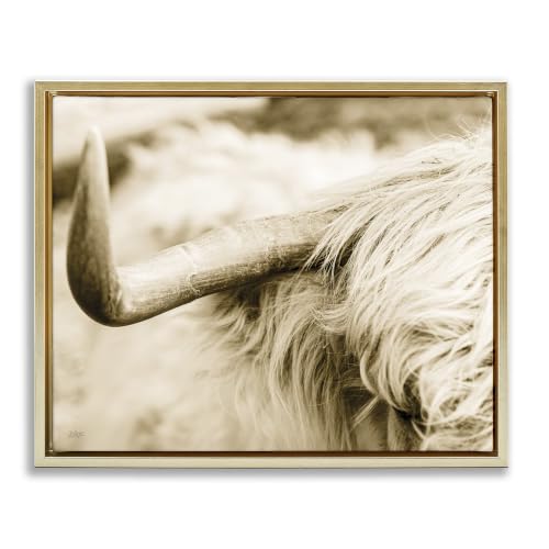 Longhorn Highland Cattle Sepia, 24 x 30 Inch Canvas in Floater Frame