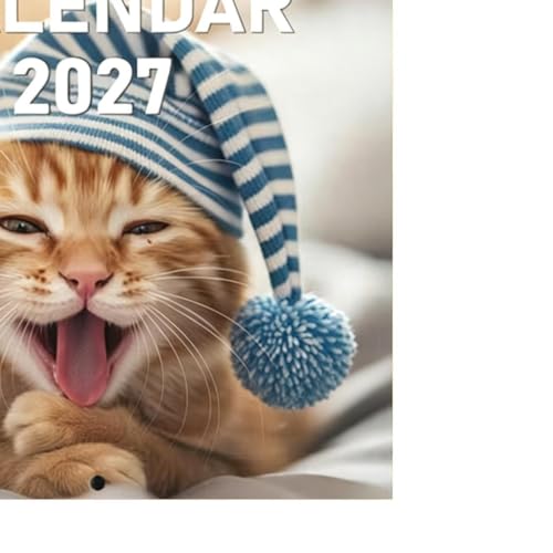 Calendario mensual 2027 con organizador y planificador de horarios 7