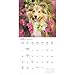 Carousel Calendars, Shetland Sheepdogs 2026 Wall Calendar, 12'' X 12'', 16-Month Calendar with Stapled Binding