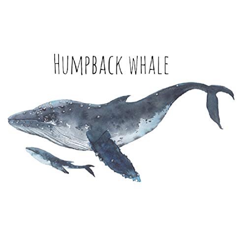 Humpback Whale Wall Decals Marine Animal Stickers Peel And Stick Art Mural Decor For Home Office Dorm Party Nursery #TOP5