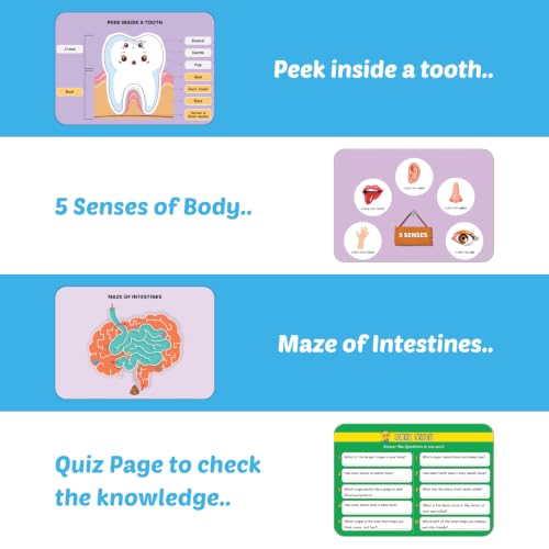 Image of My Amazing Body Busy Book for Kids (Ages 3-8 Years) Montessori Human Anatomy Activity Binder | Reusable Preschool Science Learning Toy