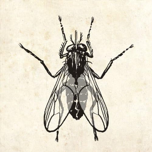 Fly [Audio CD] CHECKER,CHUBBY