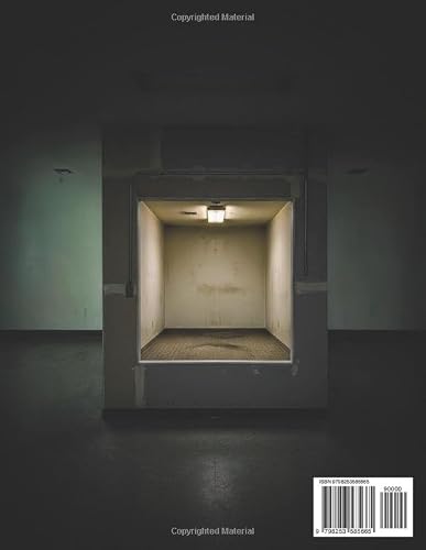 THE LAST ROOM: A Weirdcore Liminal Space Coloring Book for Adults – vue 2