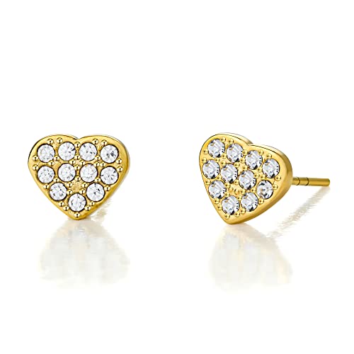 Limerencia G23 Pure Titanium Hypoallergenic Earrings, F136 Implant Grade by limerencia - Used condition - US$10.86