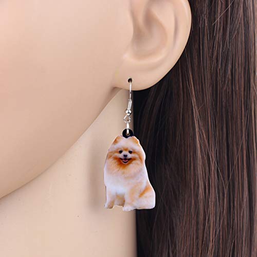 Joyas acrílicas para perros DUOWEI ideales para paseos diarios 3