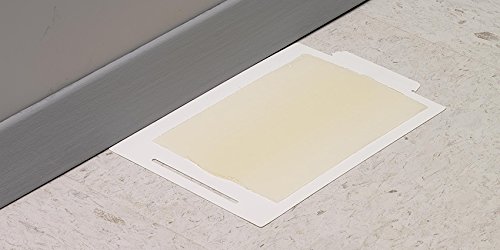 Bell Labs Full Case Of Trapper Max Free Mouse Glue Boards (72 Boards), White (Tx2672) #TOP3