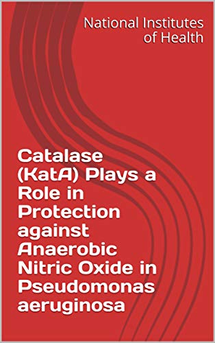 Catalase (KatA) Plays a Role in Protection against Anaerobic Nitric Oxide in Pseudomonas aeruginosa