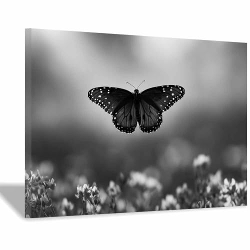 Affiche papillon monarque déco salon et chambre moderne 60x90